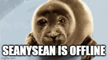 Seanysean Sad GIF - Seanysean Sad Offline GIFs