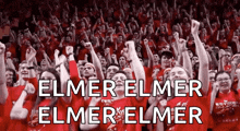 elmer elmer elmer elmer elmer elmer elmer elmer elmer elmer elmer elmer elmer