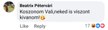 a facebook post that says beatrix petervari on it