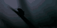 Bugs Insects GIF - Bugs Insects Firefly GIFs