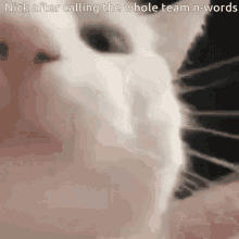 Nick Is Mean Help GIF - Nick Is Mean Help Team GIFs