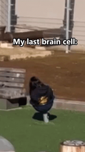 Amy On One Brain Cell My Last Brain Cell GIF - Amy On One Brain Cell My ...