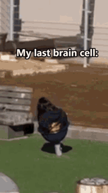 Amy On One Brain Cell My Last Brain Cell GIF - Amy On One Brain Cell My Last Brain Cell No Brain Cell GIFs