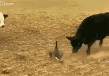 All Power Is With You You Can Do Anything GIF