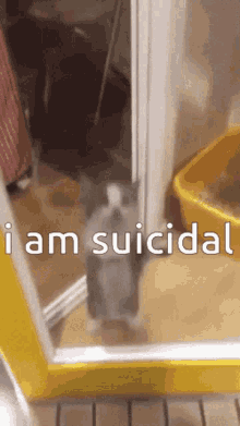 Suicidal Cat GIF - Suicidal Cat Yay GIFs