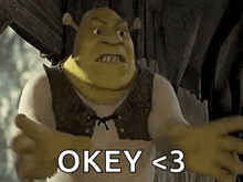 Shrek Shrek Mad GIF