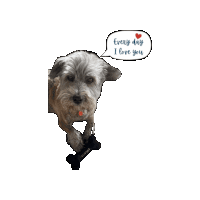 a dog with a speech bubble saying every day i love you