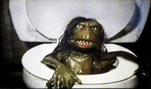 a monkey is sitting on a toilet seat
