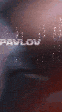 Pavlov Vr GIF - Pavlov Vr Pavlov Shack GIFs