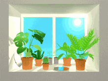 Window Plants GIF - Window Plants Sunny GIFs