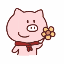for you pig flower happy sweet