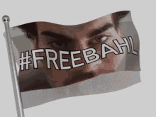 Freebahl Kevin Bahl GIF - Freebahl Bahl Kevin Bahl GIFs