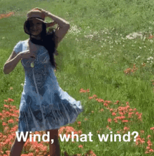 Wind What Flowers GIF - Wind What Flowers Mary Avina GIFs