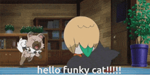 Funky Cat Gc Hi GIF
