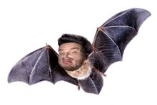 Bat Batboy GIF - Bat Batboy Bats GIFs