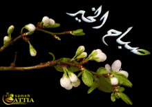 Sameh Attia Flowers GIF - Sameh Attia Flowers GIFs
