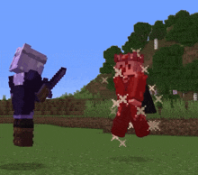 two minecraft characters are standing next to each other in a grassy field
