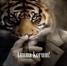 a man in a suit smoking a cigar with a tiger mask on his face