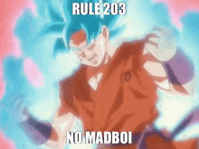Rule203 Goku Rule GIF - Rule203 Rule Goku Rule GIFs