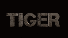 Tiger 3 Salman Khan Tiger GIF - Tiger 3 Salman Khan Tiger Salman Khan GIFs