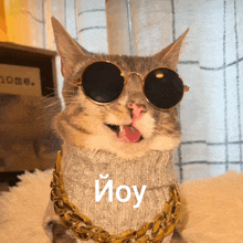 a cat wearing sunglasses and a sweater has the word ioy written on its face