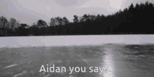 Aidan Aidan Gallagher GIF - Aidan Aidan Gallagher Berry Mint GIFs
