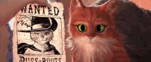 Puss In Boots Angry GIF