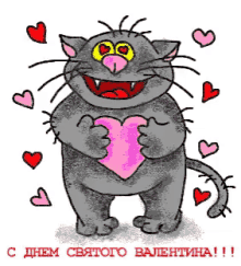 Heart Cat GIF - Heart Cat Valentines GIFs