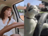 a woman is driving a car next to a cat that is sitting in the driver 's seat