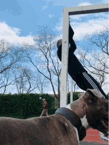 Muscle Up Training GIF - Muscle Up Training Exercise GIFs