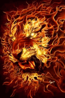 Fire Lion GIF