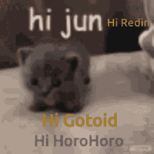 Hi Redin GIF - Hi Redin GIFs