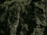 a waterfall is surrounded by rocks and trees and is surrounded by a cliff .
