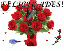 a bouquet of red roses in a red vase with the words felicidades written above it