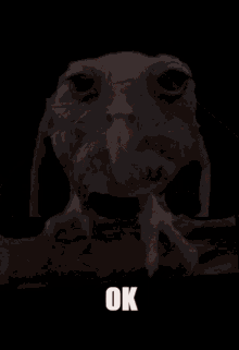 a picture of an owl with the word ok written below it