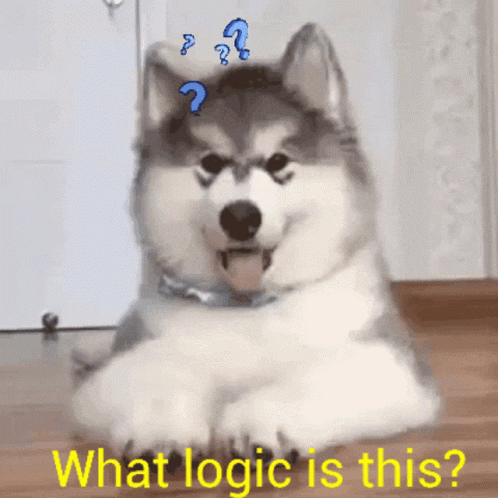 dog-logic.gif