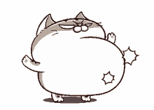 ami fat cat cat cute belly kitten