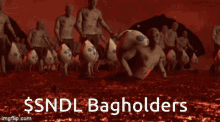Sndl Bagholders GIF