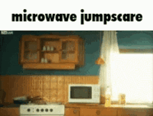 Microwave Jumpscare GIF - Microwave Jumpscare GIFs