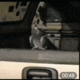 a bird is sitting on a window sill and the time is 00:48