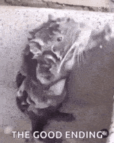 a black and white photo of a cat taking a bath with the words `` the good ending '' written on the bottom .