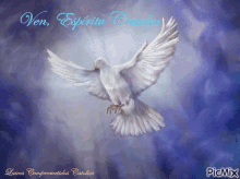 ven espiritu santo come holy spirit dove wings spread