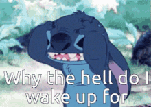 stitch why why the hell do i wake up