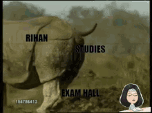 Rihan Studying Rihan GIF - Rihan Studying Rihan Go Study GIFs