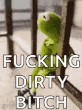 kermit the frog is sitting on a railing with the words `` fucking dirty bitch '' written on it .