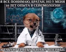 a dog in a lab coat is sitting at a table