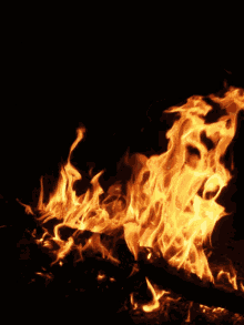 Holika GIF - होलिका दहन आग GIFs