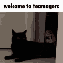 Teamagers Kidnap GIF - Teamagers Kidnap GIFs