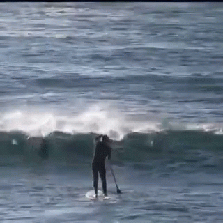 untitled.gif