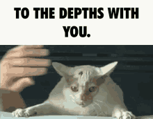 To The Depths With You Cat Being Dragged GIF - To The Depths With You Cat Being Dragged Cat GIFs
